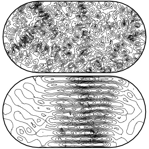 In quantum system a probability map replaces the ball, but chaos (top) and memory of classical trajectories (bottom) also exist.