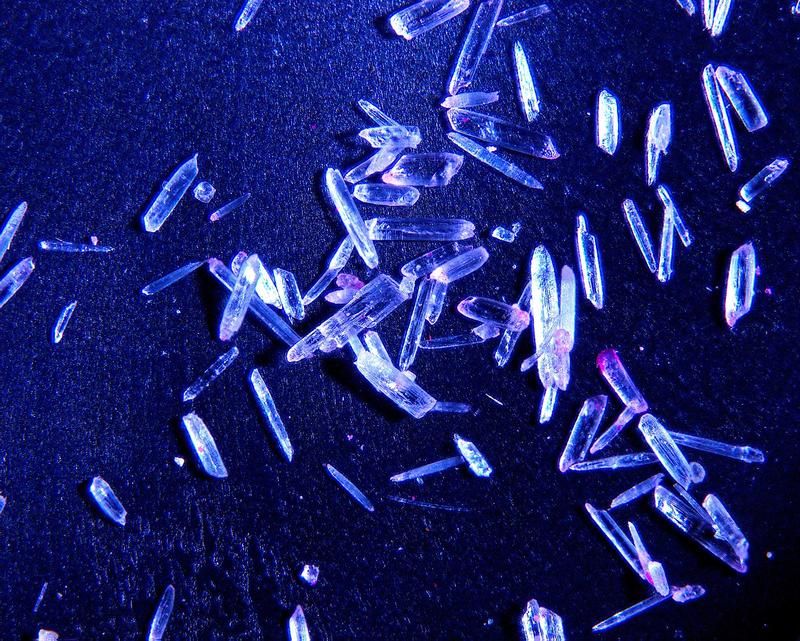 Gipskristalle unter dem Mikroskop