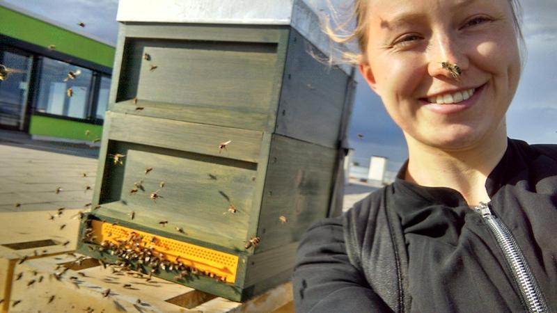 Katharina Schmidt aus dem G-Lab mit ihren „Bildungsbienen“ auf dem Dach eines Gebäudes der Hochschule Karlsruhe