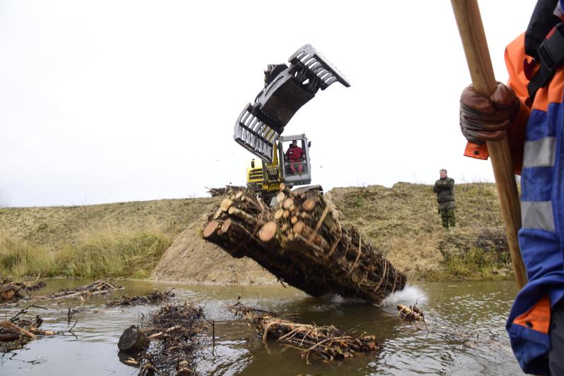 Ein Totholzbündel wird im Baggersee versenkt
