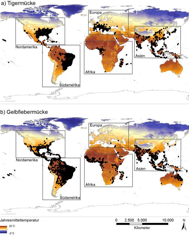 Worldwide expansion of the two invasive mosquito species a) Asian tiger mosquito (Aedes albopictus) and b) yellow fever mosquito (Aedes aegypti) and studied areas