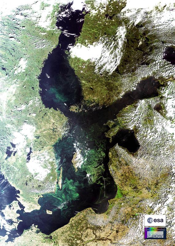 Die Blaualgenblüten in der Ostsee sind so massiv, dass sie als blaugrüne Schlieren per Satellit sogar aus dem All zu erkennen sind (z.B. Juli 2008). Besonders bei Gotland sind sie häufig und intensiv.