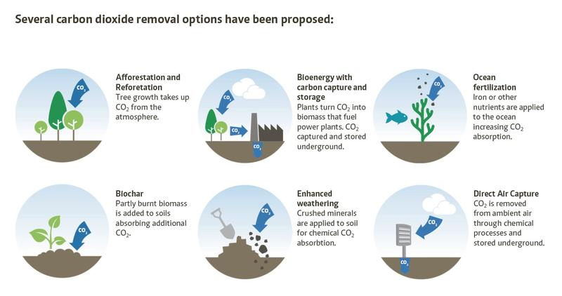 Options of negative emissions technologies