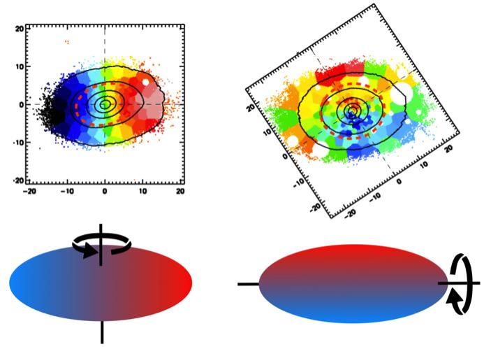 Mean stellar velocities: blue parts move towards, red away from us. The rotation around the long axes (r.) applies only to a small fraction of galaxies. This increases as galaxies become more massive.