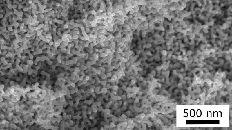 Nanoporöses Gold unter dem Elektronenmikroskop: Der Katalysator bildet ein weit verzweigtes Gerüst. 