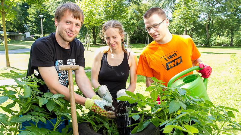 Ein schönes Beispiel für Nachhaltigkeit auf dem Campus der TU Chemnitz ist der Permakulturgarten. 