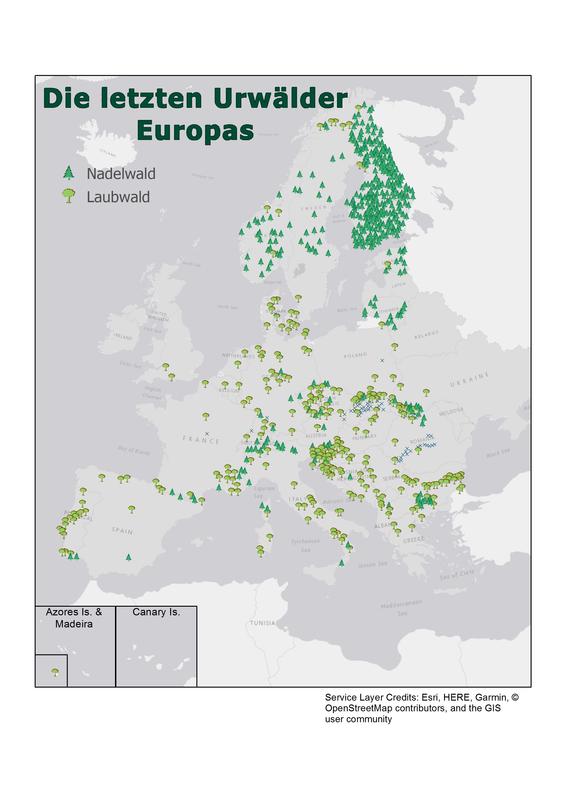 Die letzten Urwälder in Europa