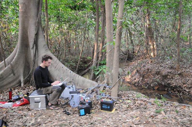 Jörg Henninger hat die elektrischen Signale der Messerfische mithilfe eines Elektrodengitters in einem Bach in Panama, aufgenommen.