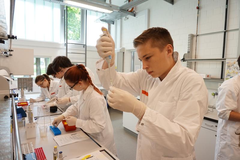 At the MINT-EC Camp at Jacobs University school students have the chance to experiment in a research laboratory. Photo: MINT-EC 