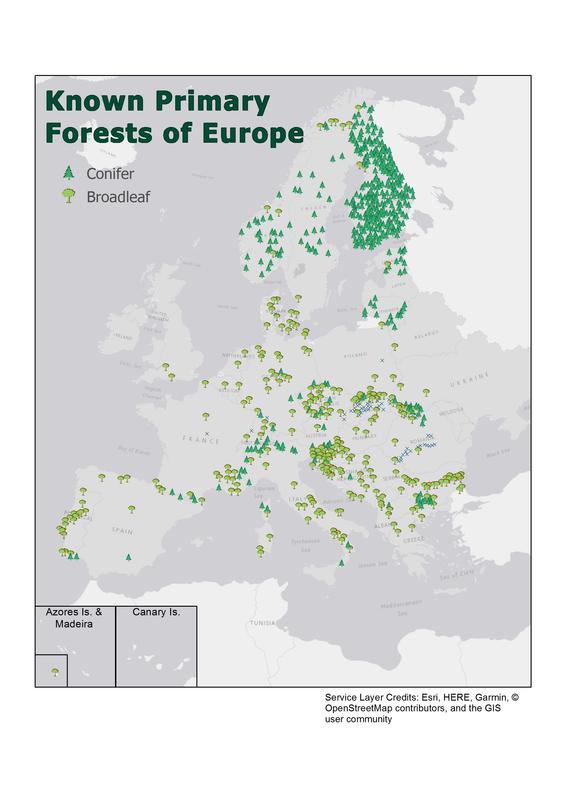 Map of the last remaining pristine forests in Europe