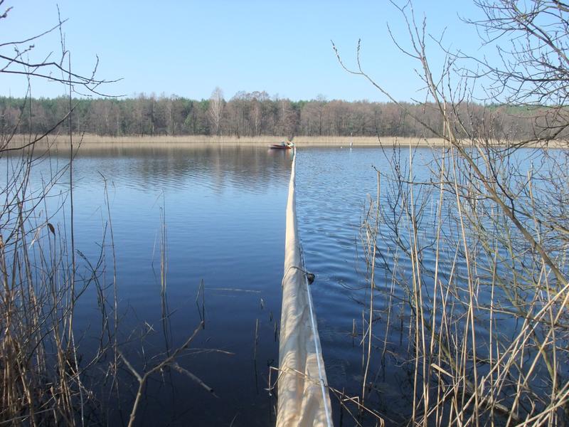 Geteilter Experimentalsee in Brandenburg. 