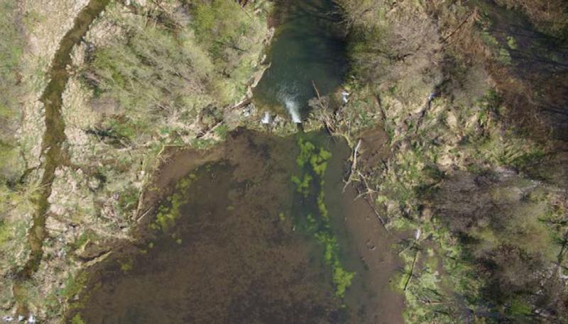Luftaufnahme eines Biberdamms mit Staubereich im Bereich der Mündung der Dorfen in die Isar. Im flachen Gelände entstehen große Teiche. 