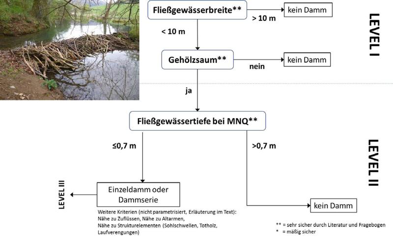 Entscheidungsbaum für die Typisierung von Dammstandorten auf verschiedenen Skalenebenen: Level I (Landschaftsebene) und II (lokale Ebene).