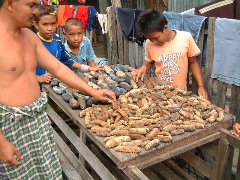 Sale of dried sea cucumbers in Indonesia