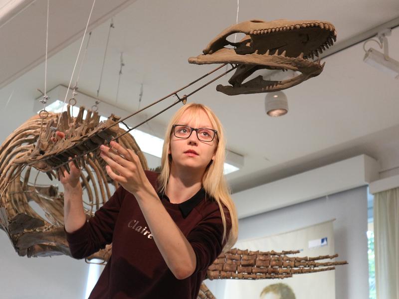 Corinna Fleischle mit dem Fossil eines Plesiosauriers aus der Sammlung des Steinmann-Instituts. 