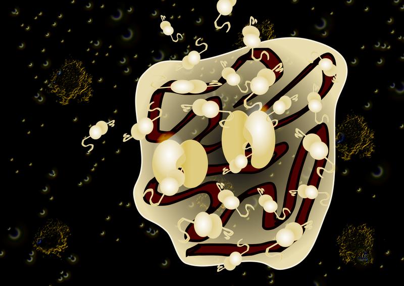 Proteins diffusing in and around an RNA granule inside the cell, against a backdrop of other RNA granules.