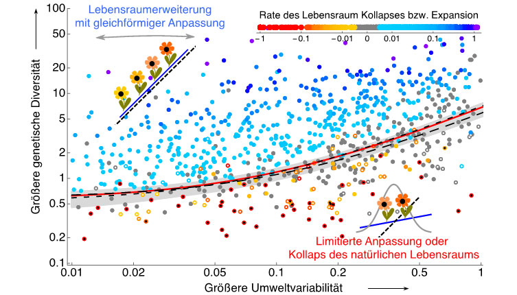 Die Grenzen des natürlichen Lebensraumes einer Spezies entstehen aus dem Zusammenspiel von ökologischen und evolutionären Dynamiken. 