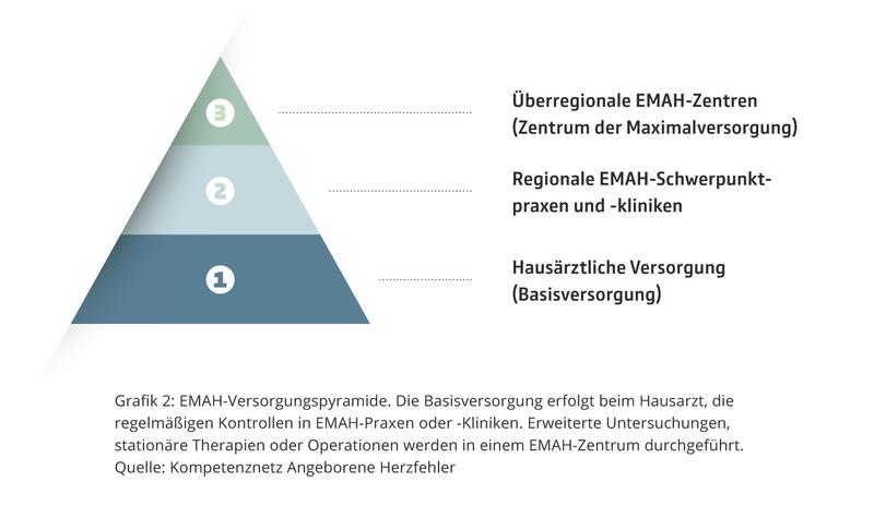 Internationales Vorbild: Die pyramidenförmige EMAH-Versorgungsstruktur.