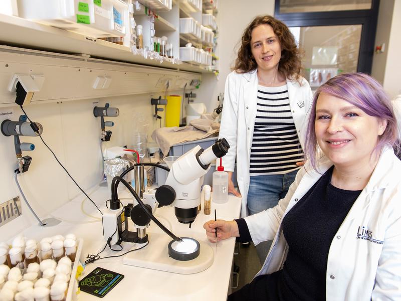 Dr. Margret Bülow (links) und Dr. Julia Sellin im LIMES-Institut der Universität Bonn. 