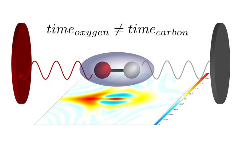 Je nach dem, ob sich das Elektron in der Nähe des Sauerstoff- oder Kohlenstoffatoms befindet, wird es vom Laserpuls unterschiedlich schnell herausgelöst. Das lässt sich nun präzise messen.