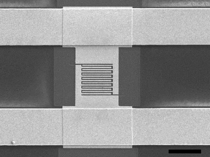 Elektronenmikroskopische Aufnahme des Chips mit asymmetrischen plasmonischen Antennen aus Gold auf Saphir.