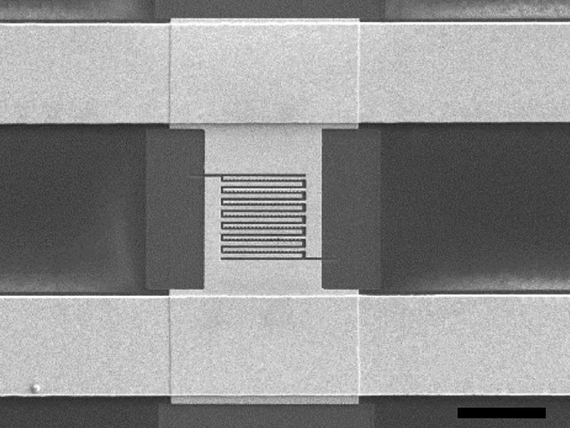 Electronmicroscopic image of the chip with asymmetric plasmonic antennas made from gold on sapphire.