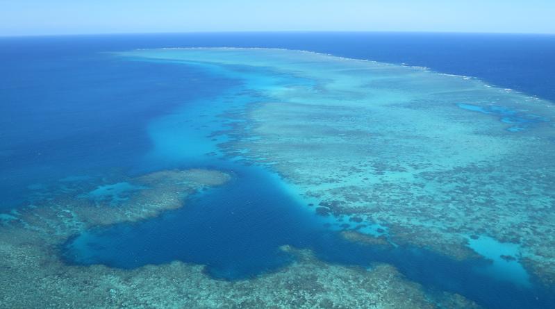 Das australische Great Barrier Reef ist eine der 258 untersuchten Ökoregionen im Meer.