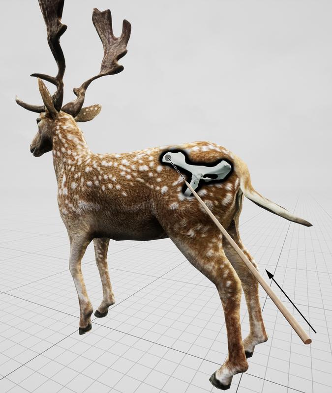 Estimated impact angle shown in relation to a standing fallow deer for the hunting lesion observed in the pelvis of an extinct fallow deer, killed by Neandertals 120,000 years ago.