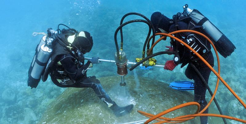 Entnahme eines Korallenbohrkerns im Südpazifik. Zum Schutz der Koralle wird das Bohrloch anschließend mit Zement aufgefüllt.