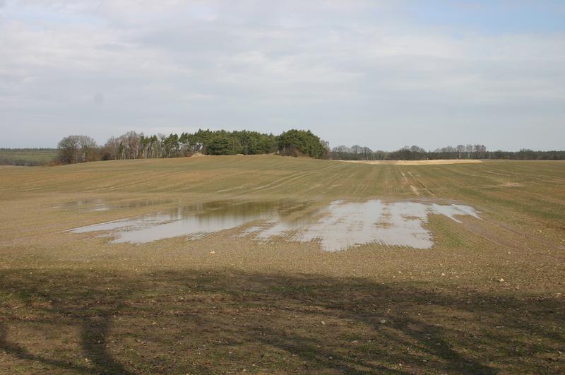 Winterweizenfeld nach Starkregen: Erosion und Ertragsausfall wegen Vernässung ‒ im Projekt EMRA werden Meldungen über durch Wetterextreme verursachte Schäden in der Landwirtschaft gesammelt.