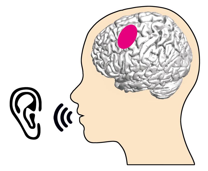The area of the brain responsible for articulation is shown in pink, and was active in all test subjects both during production and perception of language. 