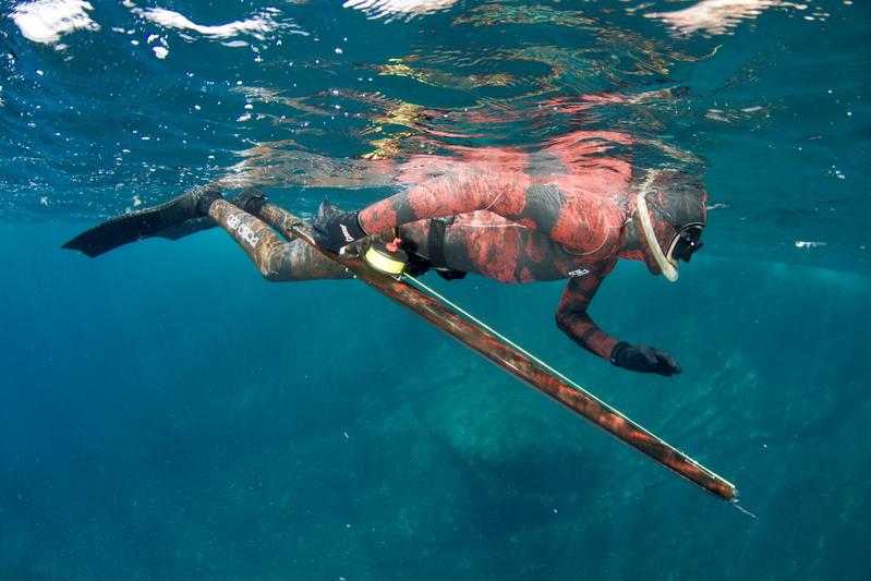 A diver with speargun approaching a fish from the water surface.