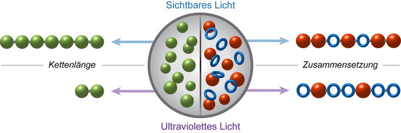 Lihct kontrolliert die Wellenlänge von Polymeren