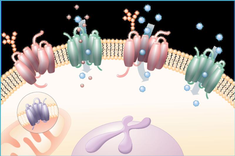 Die RESOLUTE-Vision: Hochmoderne Genome-engineering Techniken werden kombiniert mit Metabolomik, Interaktions-Proteomik und genetischen Interaktions-Methoden 