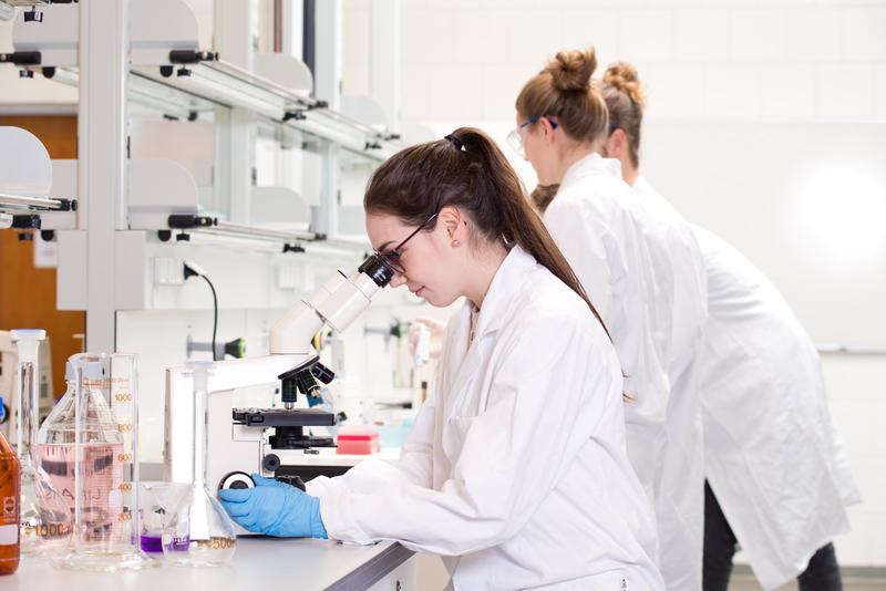 Im Labor frischen die Teilnehmerinnen und Teilnehmer des medizinischen Vorbereitungsjahres naturwissenschaftliche Kenntnisse auf und erweitern sie. 