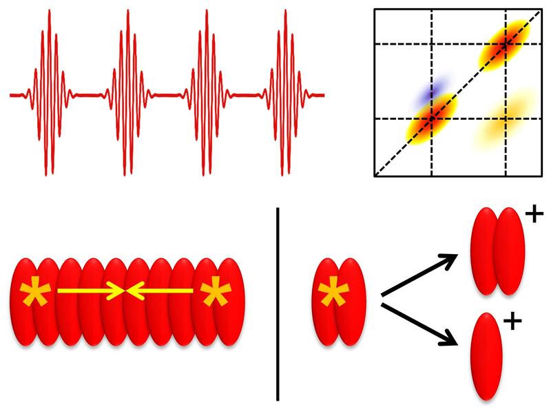 Laser pulse sequences (u.l.) cause 2D spectra (u.r.): In EEI2D spectroscopy (b.l.), two originally separate excitations meet. With 2D mass spectrometry (r.), ion photoproducts are detected.