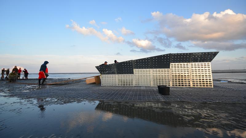 Since 2014 marine scientists at the University of Oldenburg have been observing how animals and plants colonise the artifical islands on the tidal flats close to the Island of Spiekeroog.