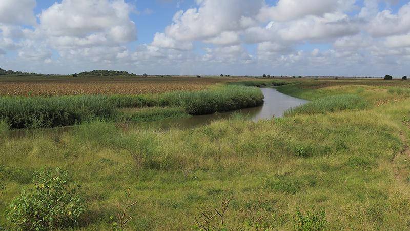 The catchment area of the Limpopo River. Here lived an ancestor of man, Paranthropus robustus about two million years ago.