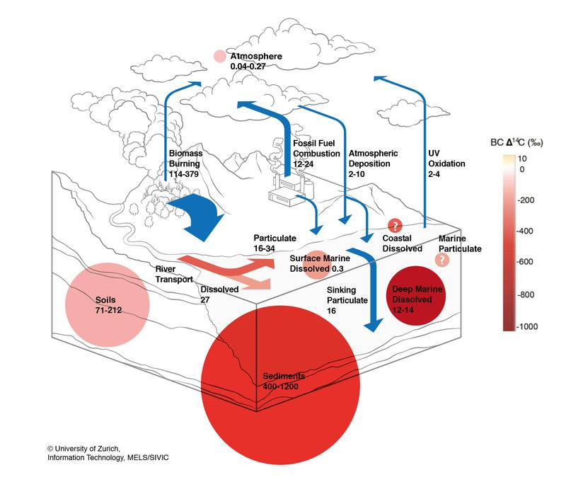 Globaler Kreislauf des schwarzen Kohlenstoffs in grossen Reservoirs.