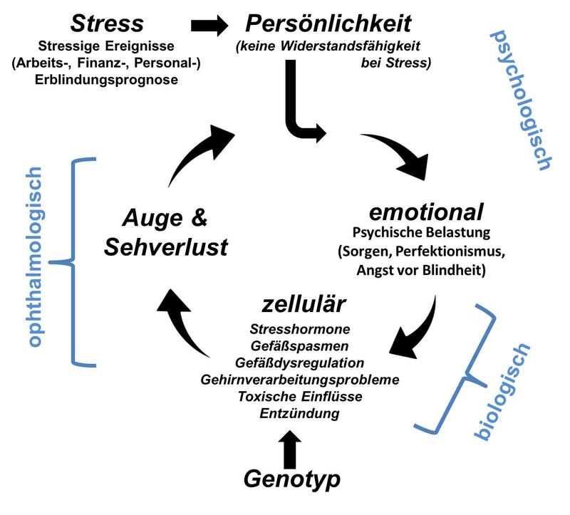 Der Teufelskreis von chronischen und akuten Stressoren und Sehverlust