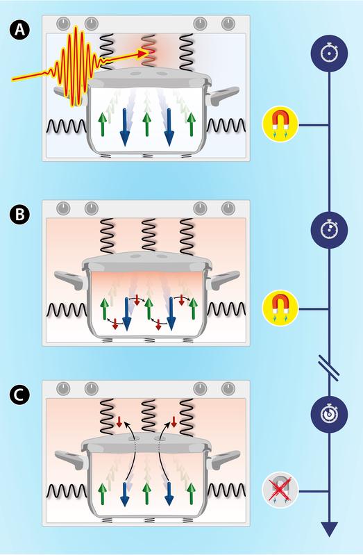 Abb. A-C: Bildliche Darstellung des Demagnetisierungsprozesses, angeregt durch das plötzliche Aufheizen des Kristallgitters durch intensive THz-Strahlung