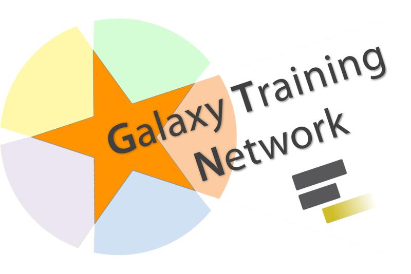 Logo: Freiburg Galaxy