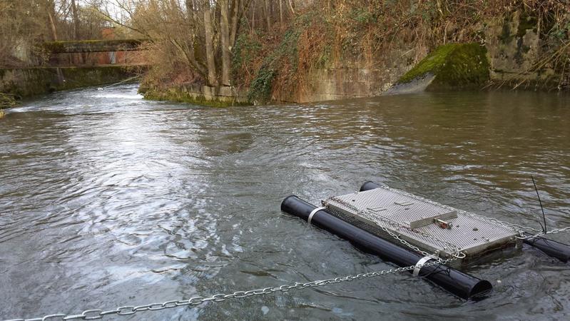 The researchers kept rainbow trout in a special cage in the waters they were analyzing.