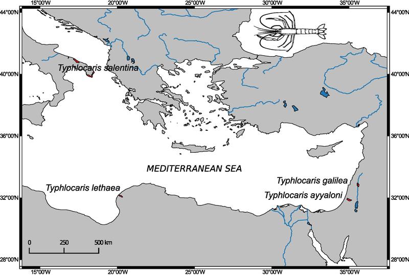 Vorkommen des Höhlenkrebses Typhlocaris im Mittelmeerraum. 