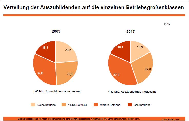 Verteilung der Auszubildenden auf die einzelnen Betriebsgrößenklassen