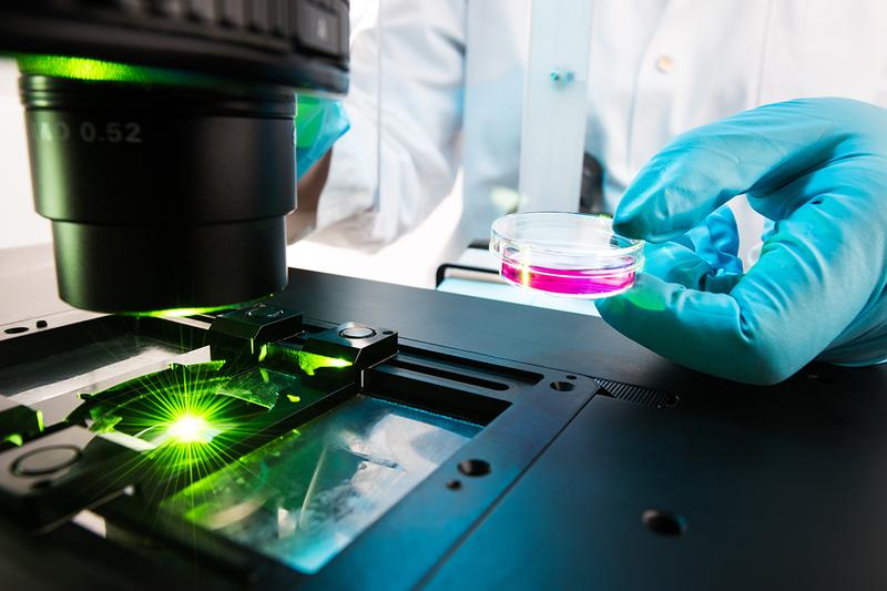 Analyse von DNA-Reparaturmechanismen in Zellen per Fluoreszenz-Mikroskopie. 