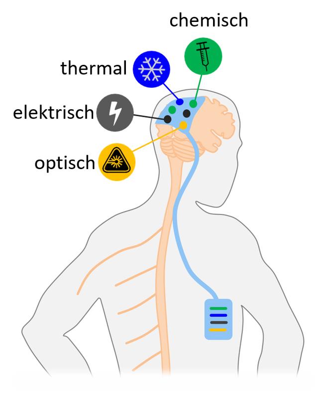 Vision für ein integriertes Netzwerk von Sensoren und Aktoren zur Etablierung von Gehirn-Maschine-Schnittstellen jenseits der elektrischen Funktionalität.