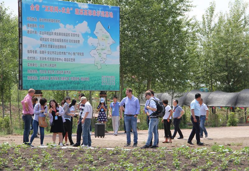 Tagungsteilnehmer zu Besuch bei einer Kooperative in Nancai nahe Peking