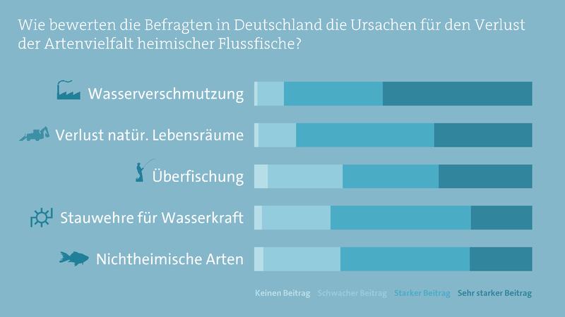 Wie bewerten die Befragten in Deutschland die Ursachen für den Verlust der Artenvielfalt heimischer Flussfische?