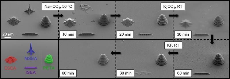 Dreidimensionale Mikrostrukturen aus verschiedenen spaltbaren Fotolacken. Die Rasterelektronenmikroskopaufnahmen zeigen den selektiven Abbau der Strukturen. (Skalierung 20 µm)